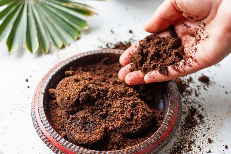 Coffee Grounds Soil Enhancer