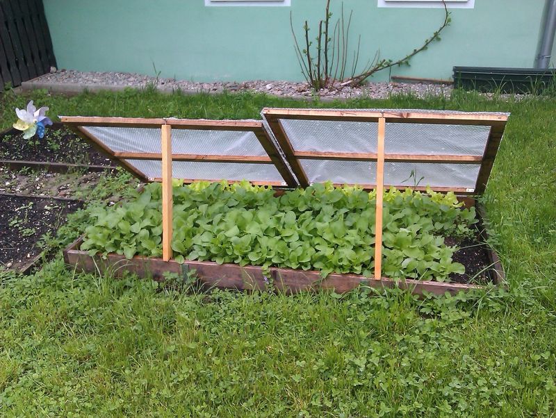 Cold Frames and Hot Beds
