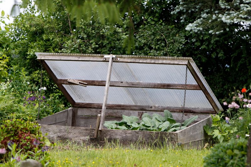 Cold Frames