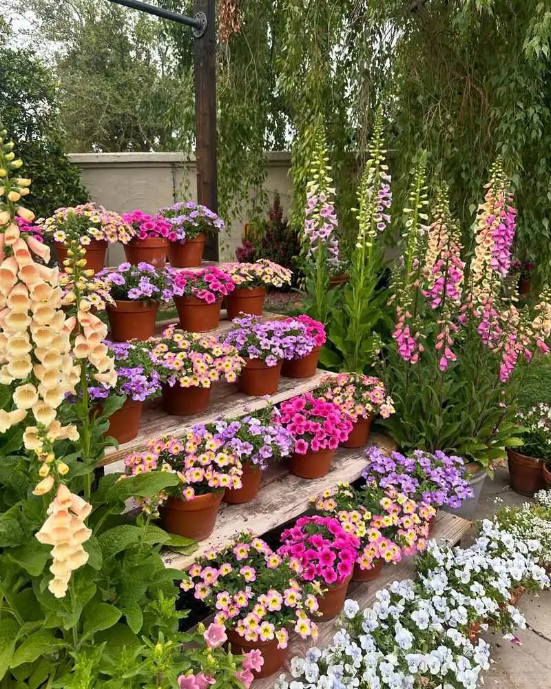 Colorful Flower Tower