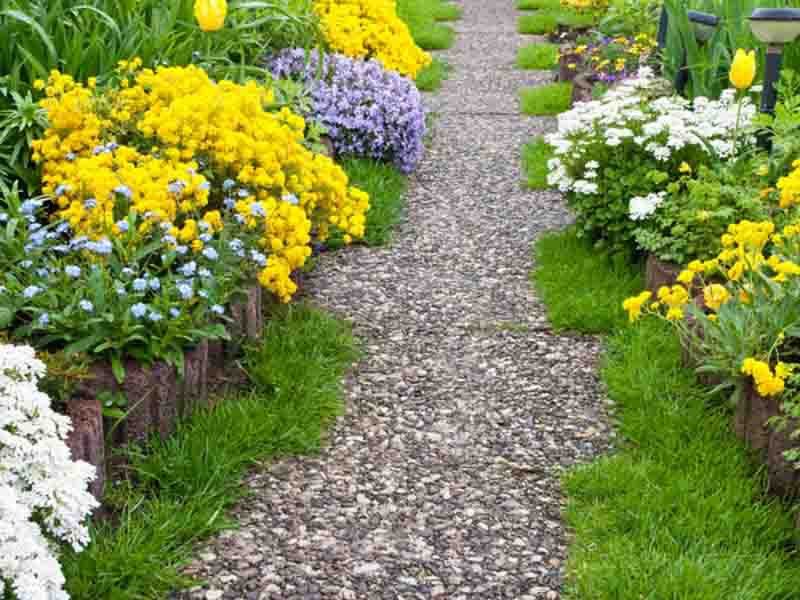 Colorful Garden Pathway