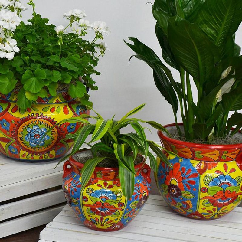 Colorful Plant Containers