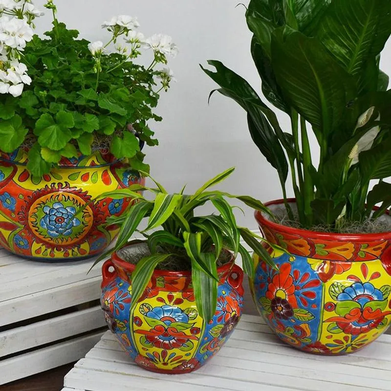 Colorful Plant Containers