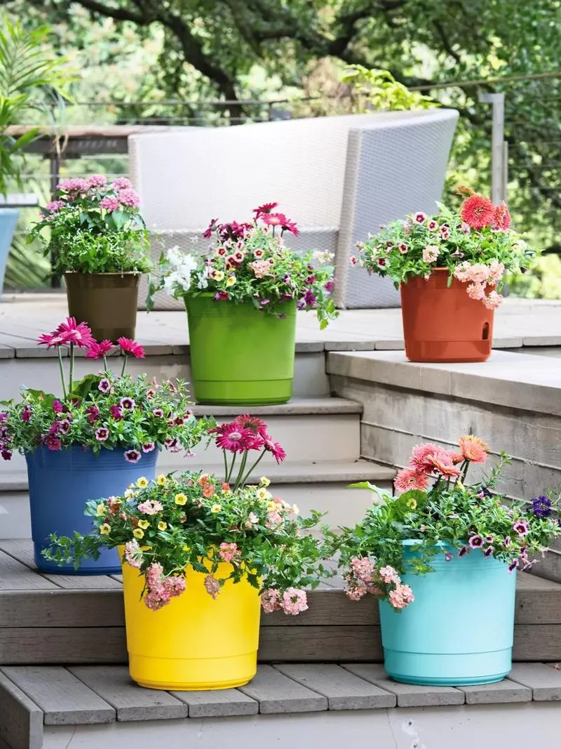 Colorful Planters