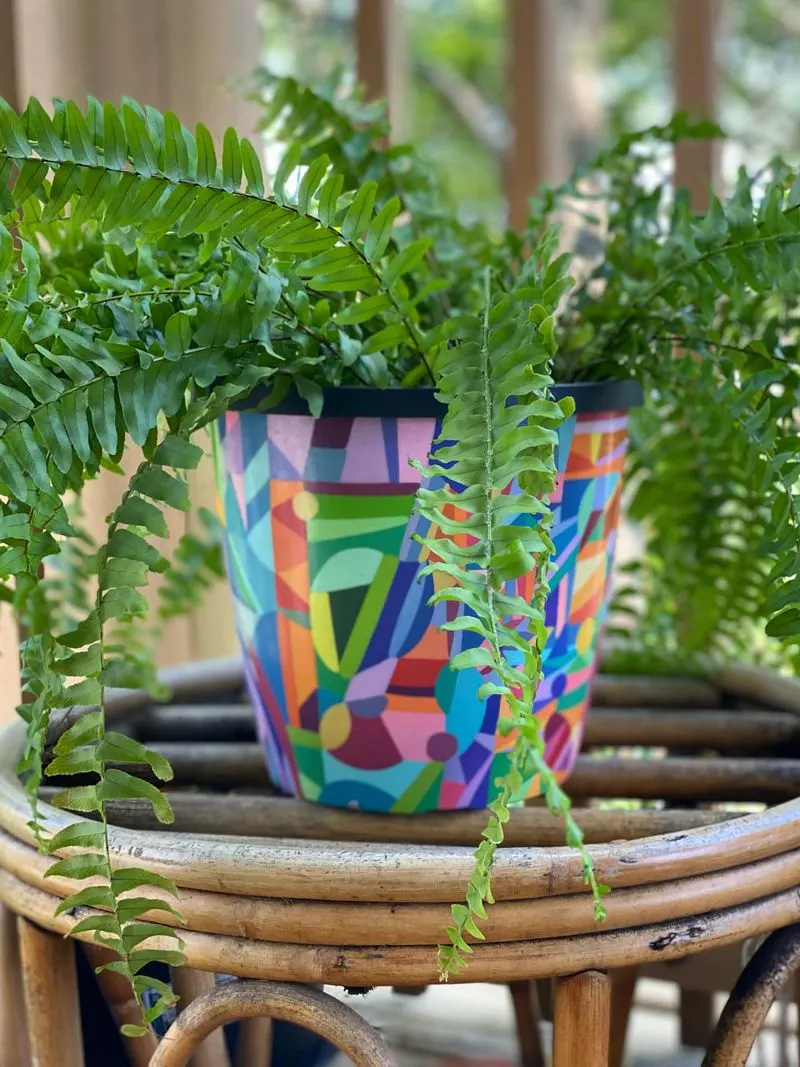 Colorful Pots