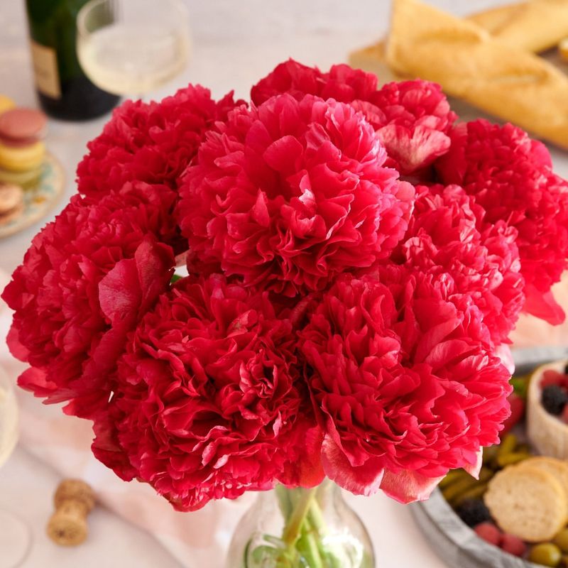 Command Performance Peony