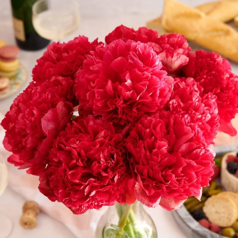 Command Performance Peony