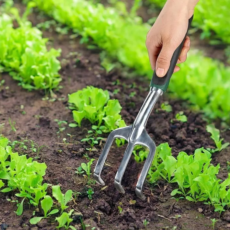 Compact Hand Rake