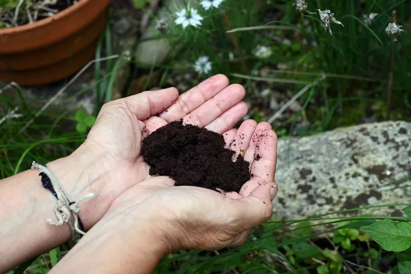 Compost Booster