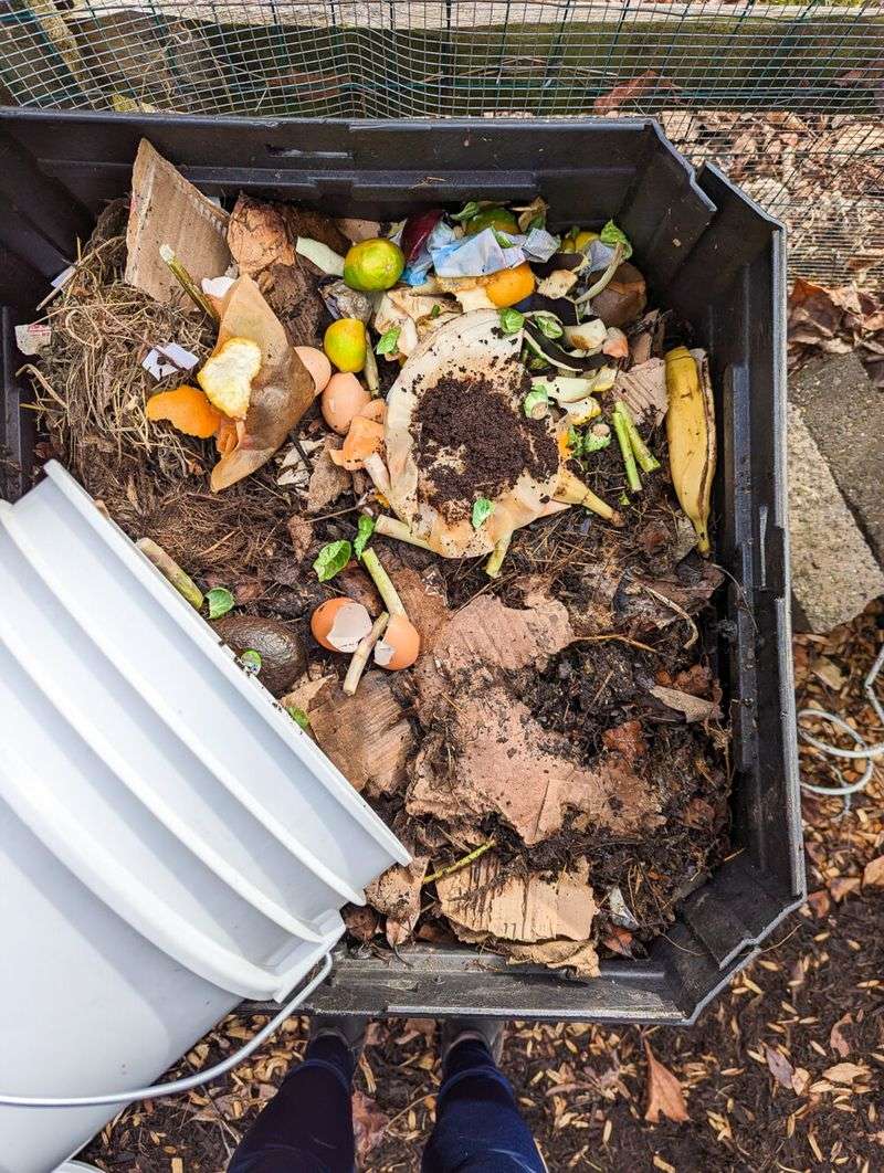 Compost Chaos