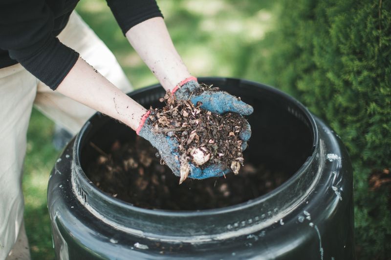 Compost Tea Nutrient Boost