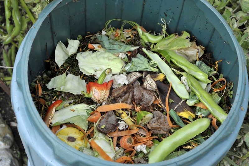 Compost Tea from Kitchen Waste