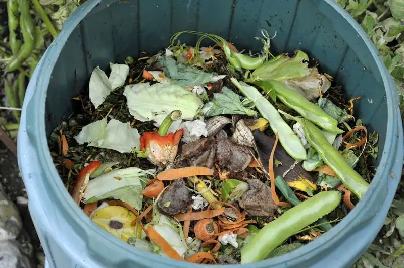 Compost Tea from Kitchen Waste