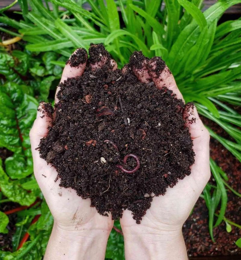 Composting Booster