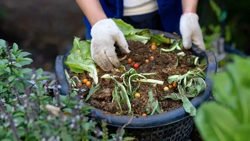 Composting for Soil Enrichment