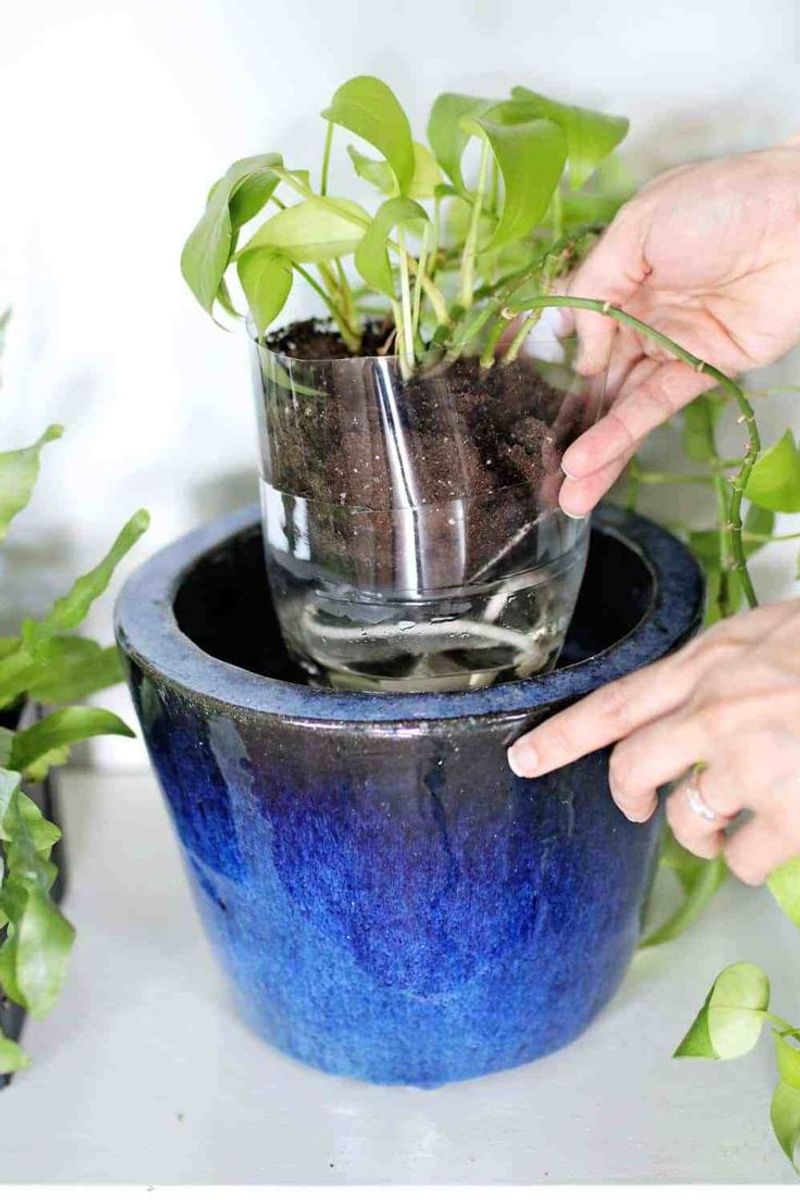 Container Garden Watering