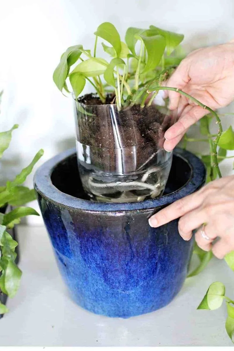 Container Garden Watering