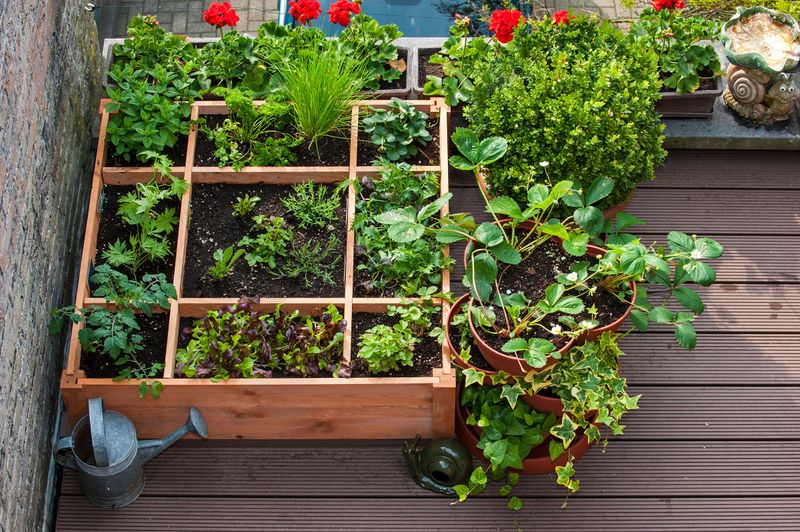 Container Gardening on Balconies