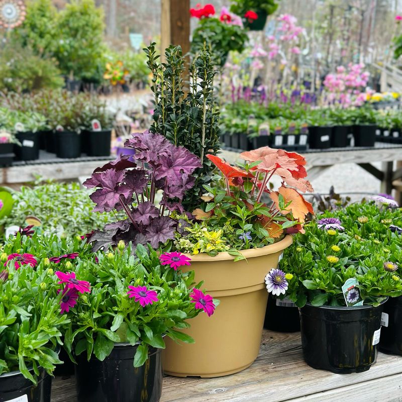 Container Gardening