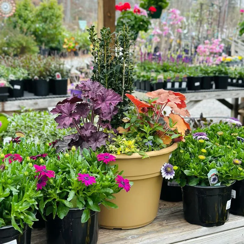 Container Gardening