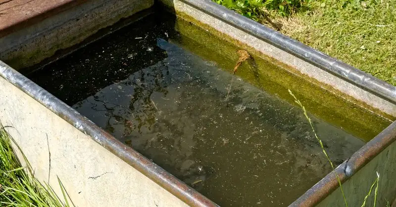 Contaminated Water Source