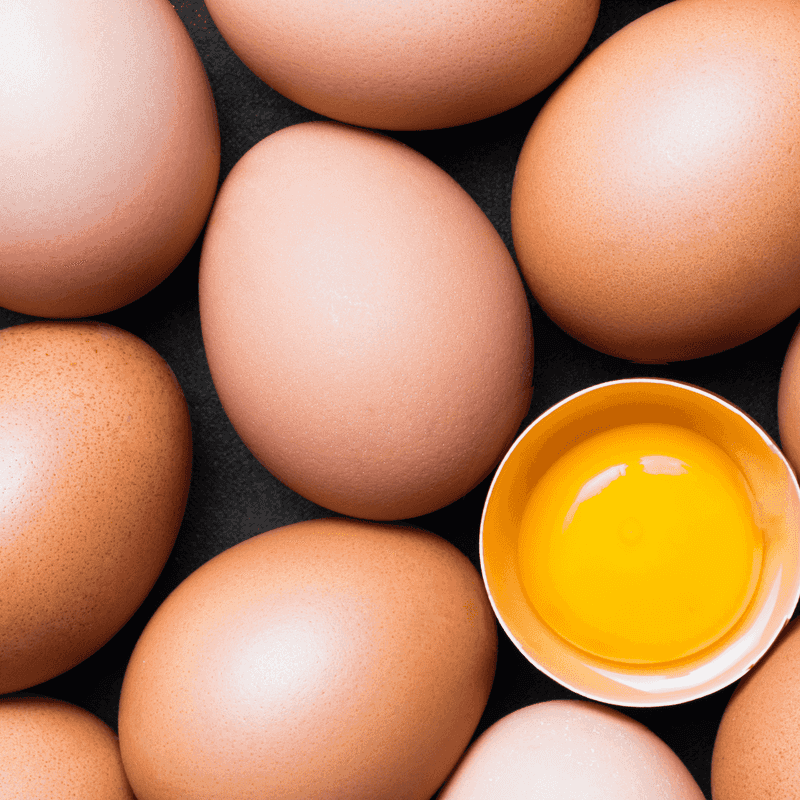 Daily Egg Collection Ritual