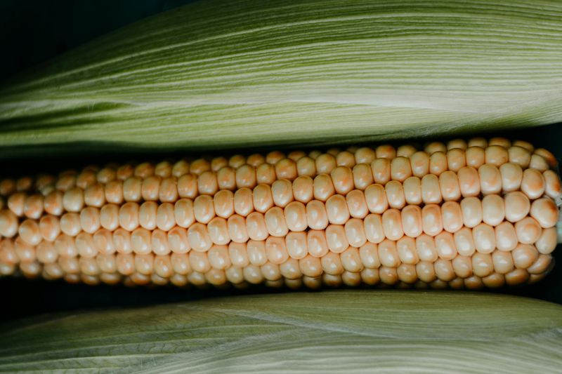 Corn