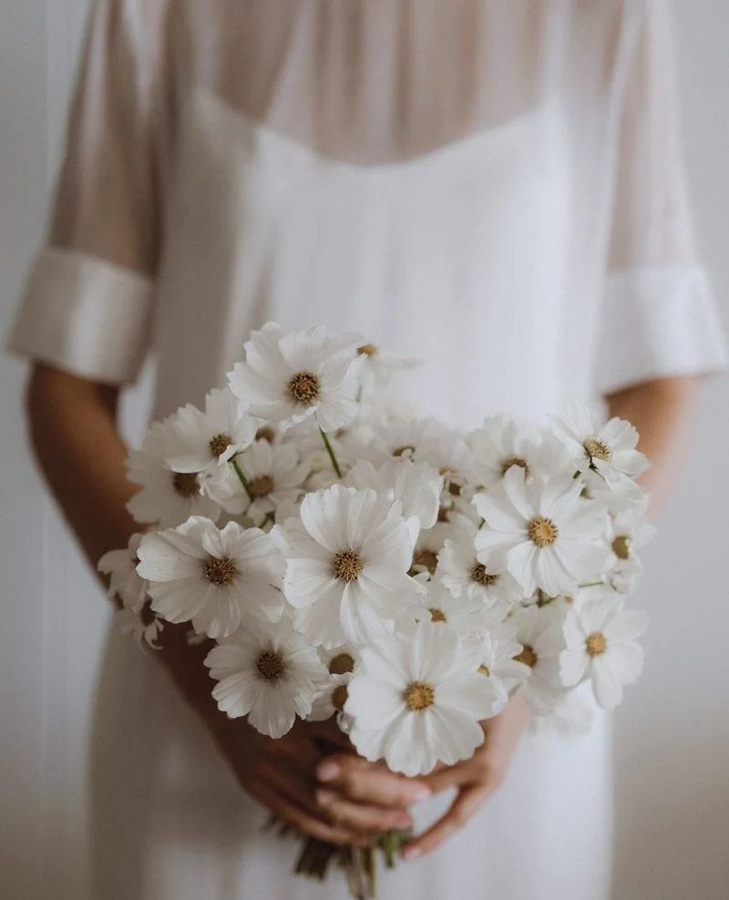 Cosmos