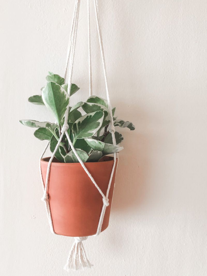 Create a DIY Macramé Hanger