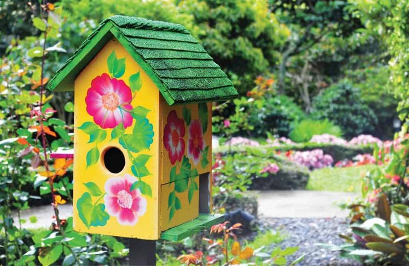 Create a Wildlife Habitat