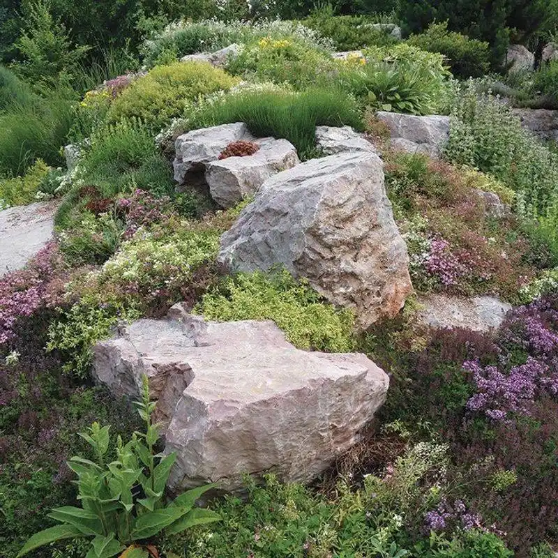 Creating a Rock Garden
