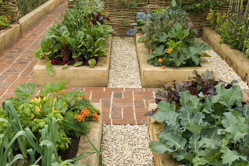 Crowded Planting