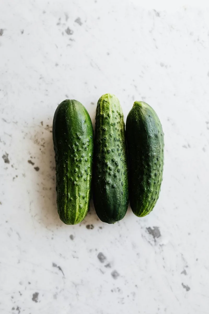 Cucumber