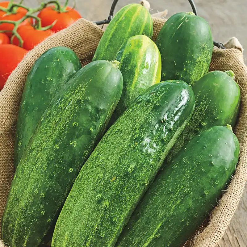 Cucumbers