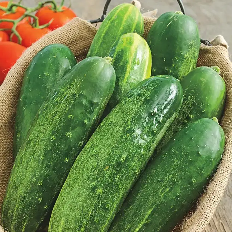 Cucumbers