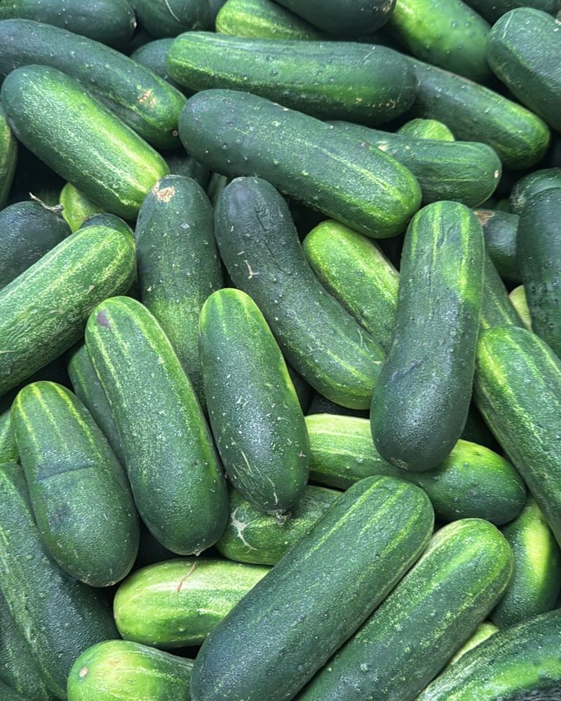 Cucumbers