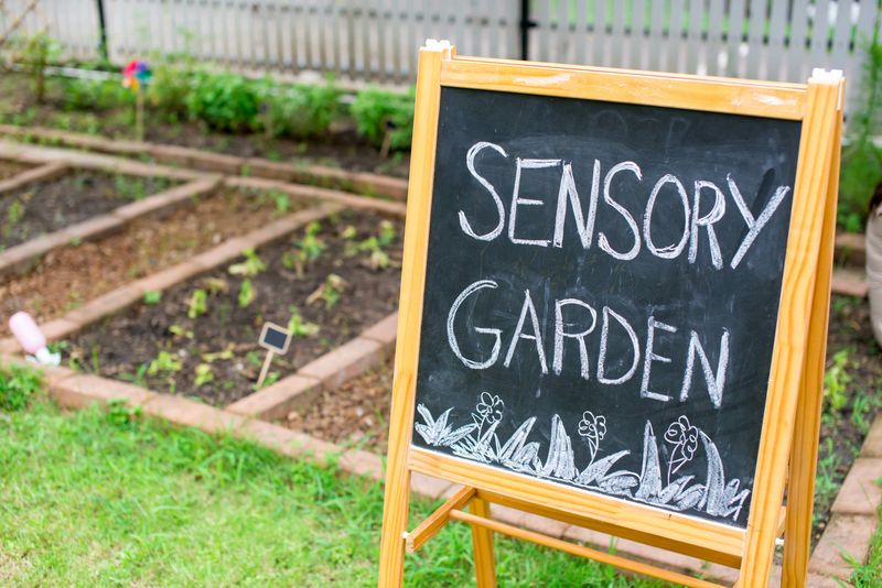 Cultivate a Sensory Garden