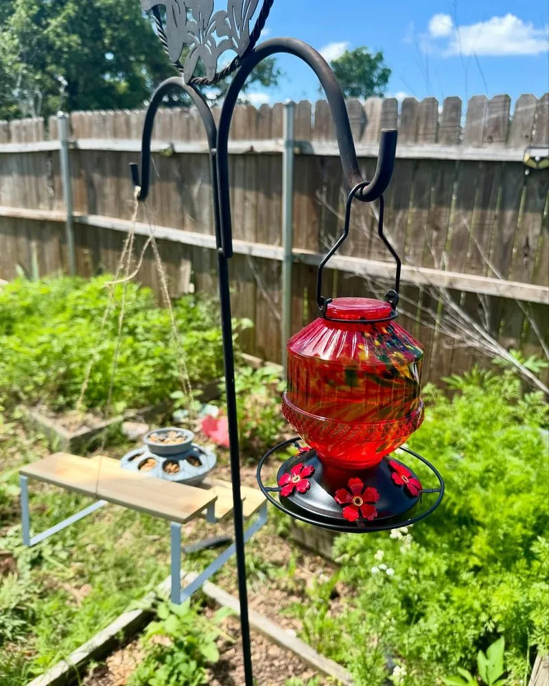 DIY Bird Feeders