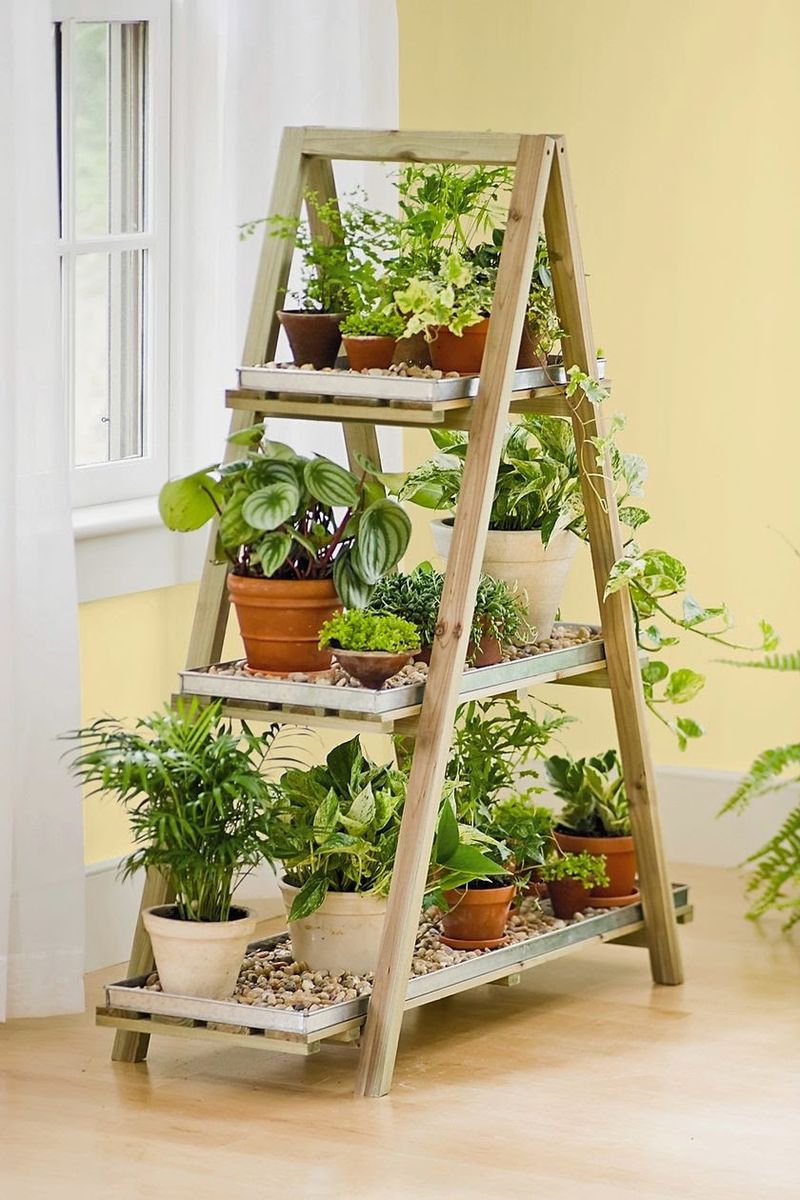DIY Plant Ladder