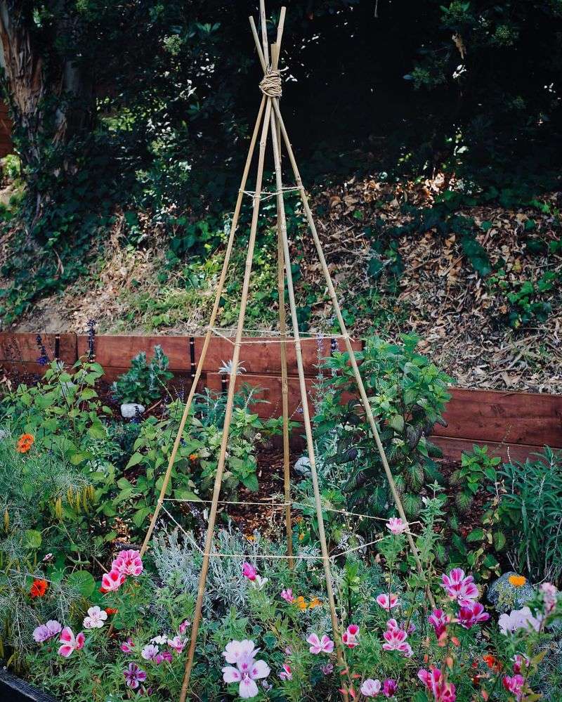 DIY Plant Supports