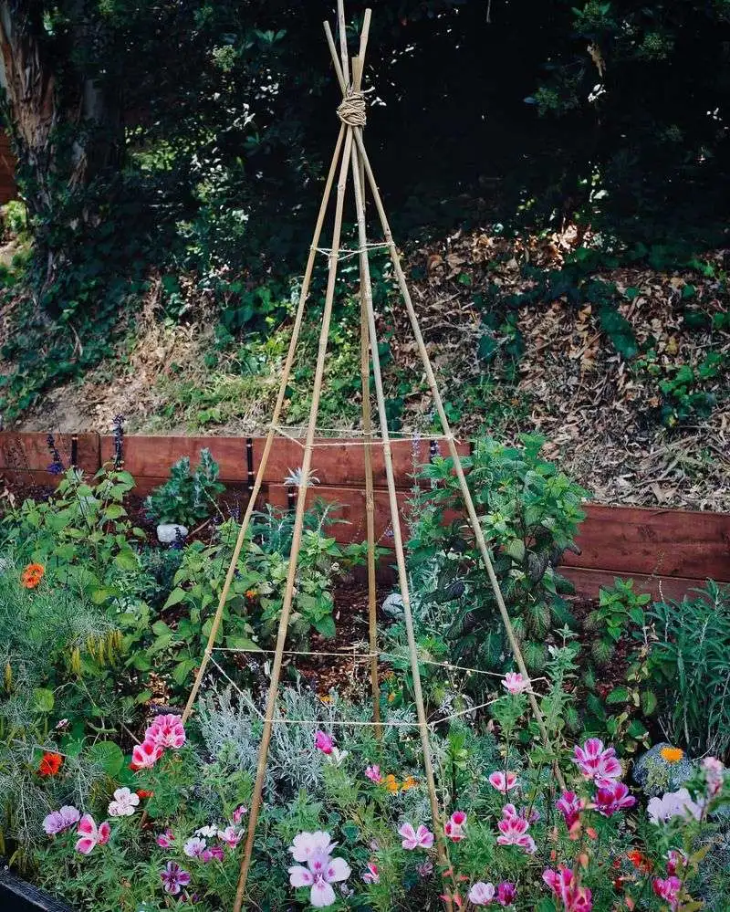 DIY Plant Supports
