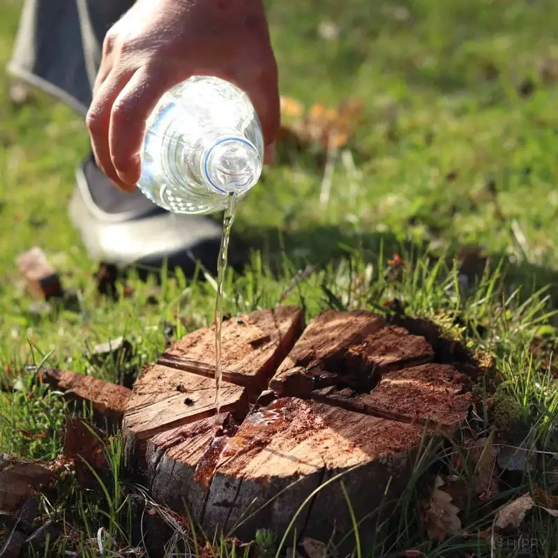 Chemical Stump Removers