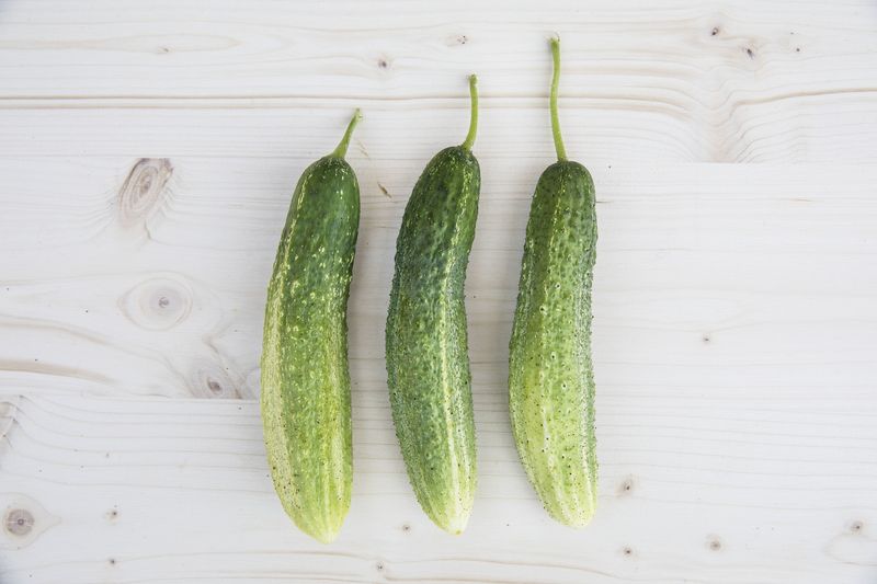 De Bourbonne Cucumber