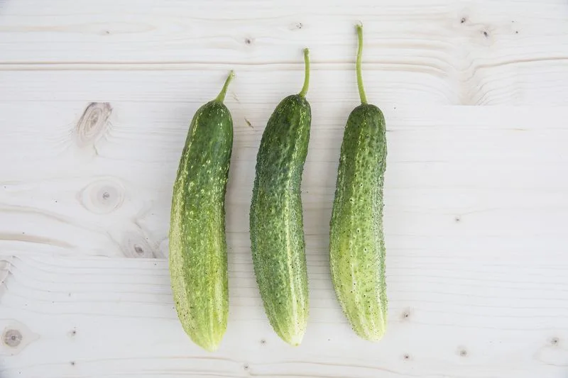 De Bourbonne Cucumber
