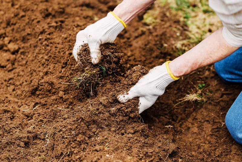 Dealing with Clay Soil