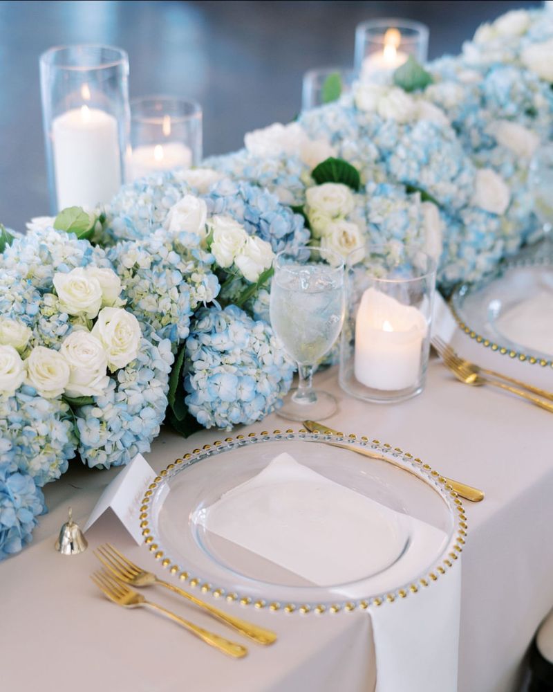 Delphinium