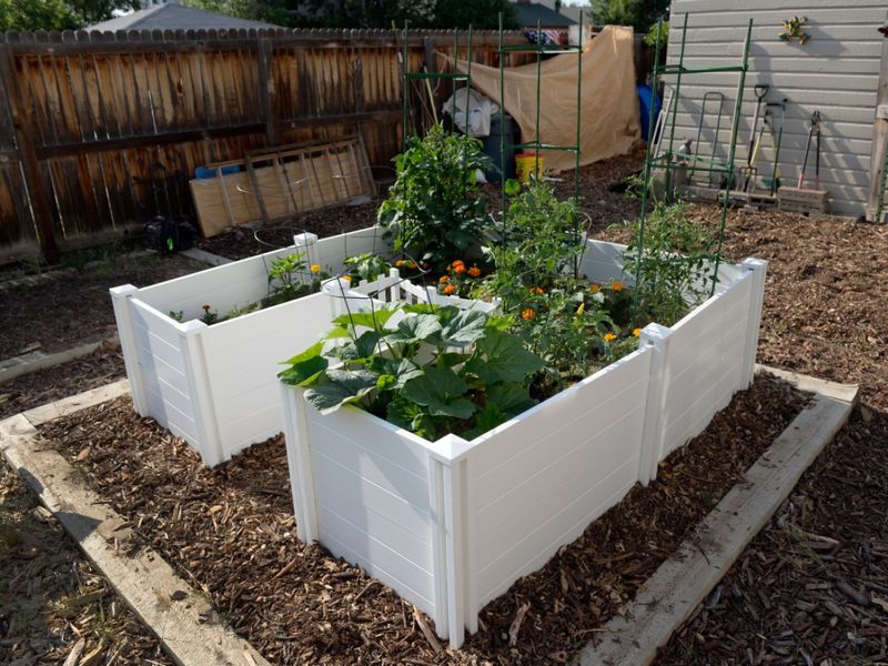 Design #1: Keyhole Garden