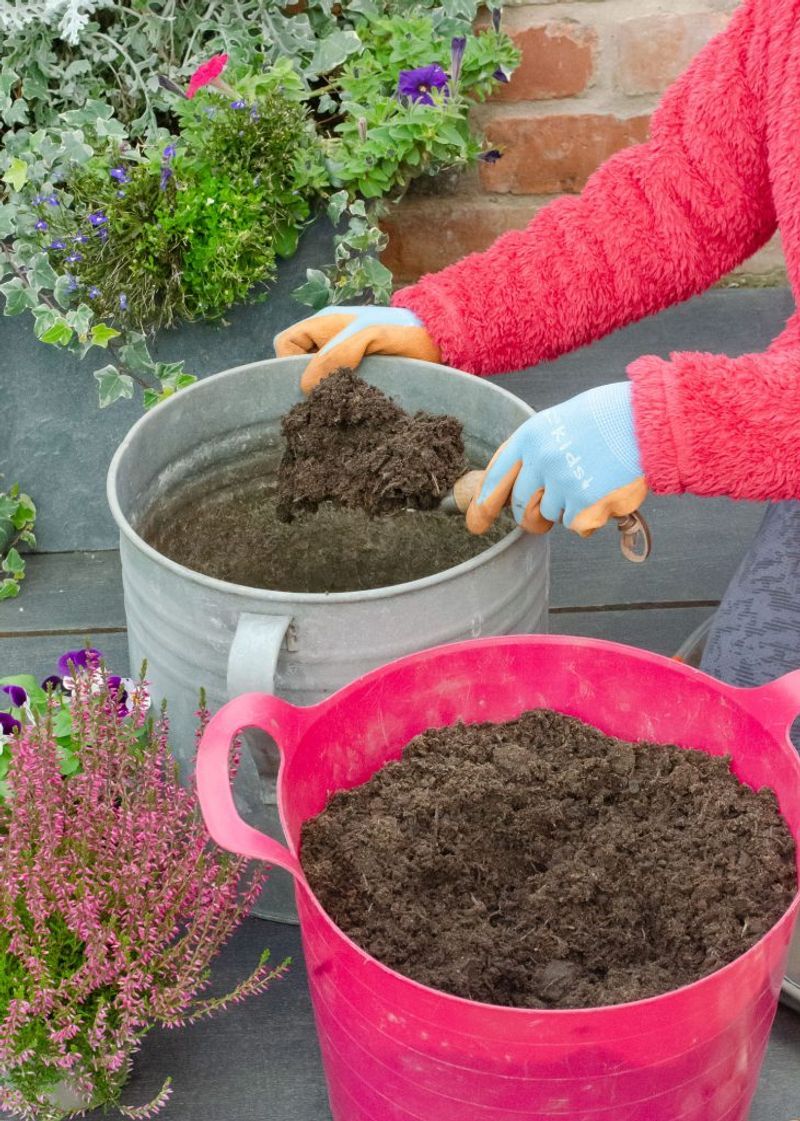 Design #7: Lasagna Garden