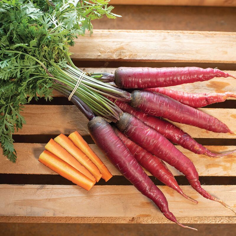 Dragon Carrot