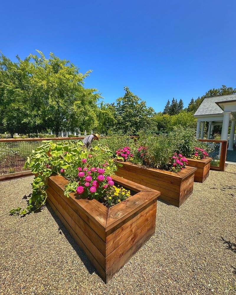 Raised Garden Beds